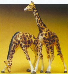 HO Giraffes (2)
