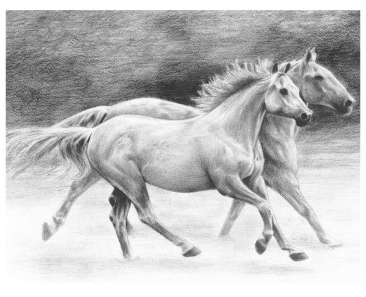 Running Free (Horses) Sketching Made Easy Age 8+ (11.25"x15.375")
