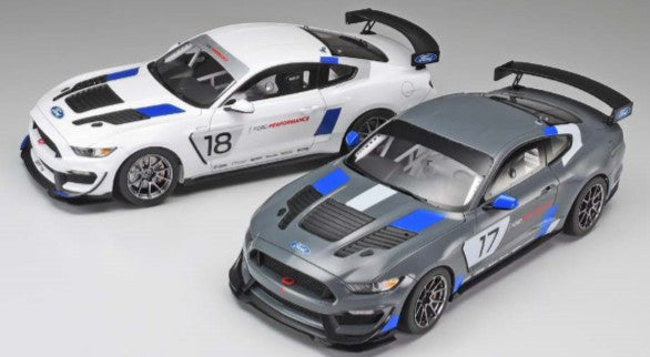 1/24 Ford Mustang GT4 Race Car