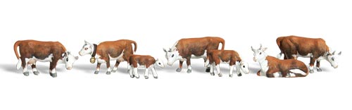 N Scenic Accents Hereford Cows (7)