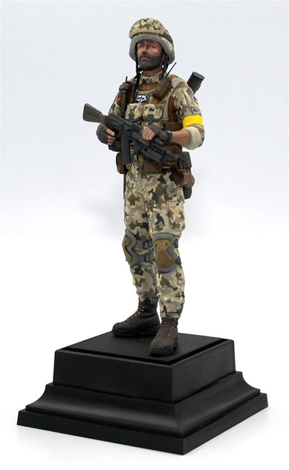 Soldier of The Armed Forces of Ukraine