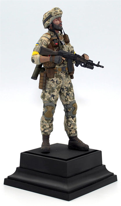 Soldier of The Armed Forces of Ukraine