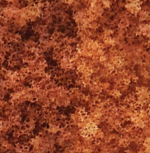 Foliage- Late Fall Mix (60sq. in. Bag)