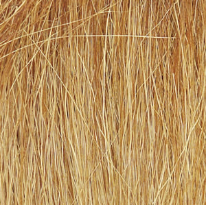 Field Grass- Harvest Gold (8gms Bag/Cd)