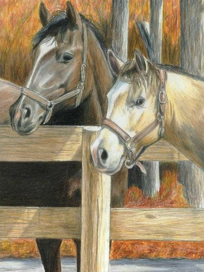 Buck's Pal (Horses) Pencil by Number Age 8+ (8.75"x11.75")