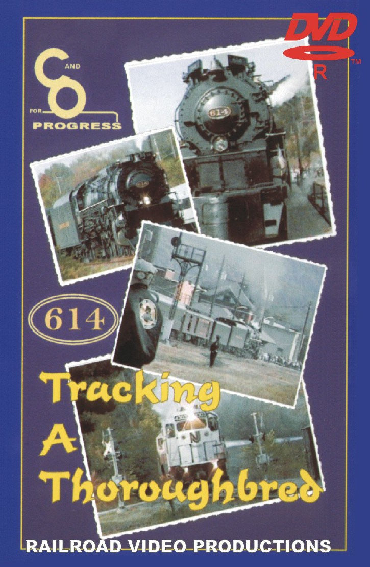 TRACKING A THOROUGHBRED