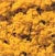Turf- Fall Yellow, Coarse (32oz. Shaker)