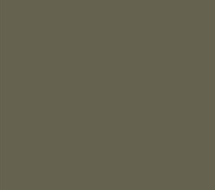 AFV Series: Light Grey RAL7009 3G Acrylic Paint 17ml Bottle