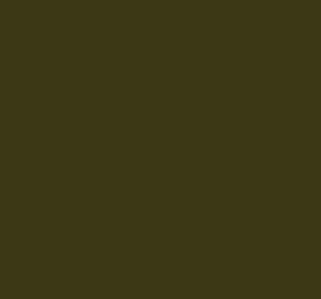 AFV Series: Olive Green opt 2 RAL6003 3G Acrylic Paint 17ml Bottle