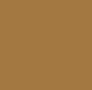 AFV Series: Sand Brown RAL8031 F9 3G Acrylic Paint 17ml Bottle