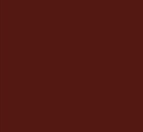 AFV Series: Red Brown RAL8013 3G Acrylic Paint 17ml Bottle