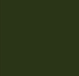 AFV Series: Forest Green FS34079 3G Acrylic Paint 17ml Bottle