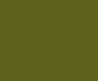 AFV Series: Australian Camouflage Green 3G Acrylic Paint 17ml Bottle