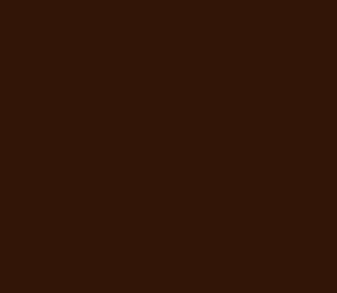 AFV Series: Russian Dark Brown 6K 3G Acrylic Paint 17ml Bottle