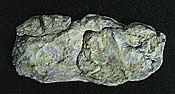 Rock Mold- Washed Rock (10.5"x5")