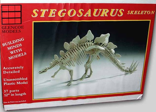 1/25 Stegosaurus Skeleton