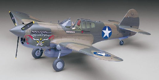 1/32 P40E Warhawk USAAF Fighter