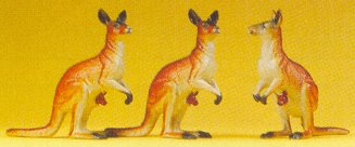 HO Kangaroos (3)