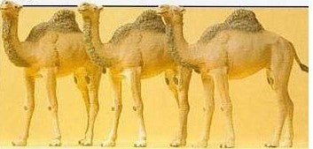 HO Camels (Dromedaries) (3)