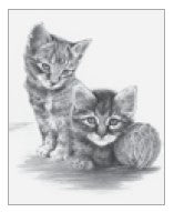 Kittens w/Ball of Yarn Sketching Made Easy Age 8+ (11.25"x8.5")