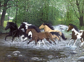 Free Spirits (Galloping Horses/Stream) Paint by Number Age 8+ (11.25"x15.375")