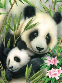 Panda & Baby Paint by Number Age 8+ (8.75"x11.75")