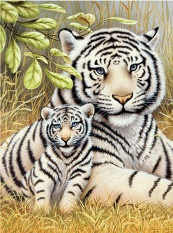 White Tiger Pair Paint by Number Age 8+ (8.75"x11.75")