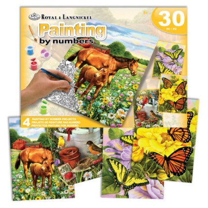 Outdoor Life (Horses, Birds, Butterflies) Paint by Number 24pc Activity Set (4 Projects) Age 8+ (8"x10")