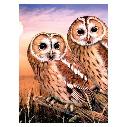 Tawny Owls Paint by Number Age 8+ (8.75"x11.75")