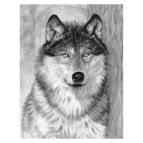 Alpha (Wolf Face) Sketching Made Easy Age 8+ (11.25"x15.375")