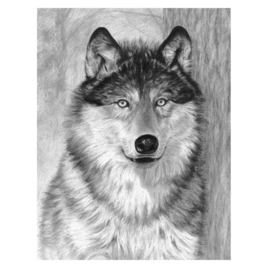 Alpha (Wolf Face) Sketching Made Easy Age 8+ (11.25"x15.375")