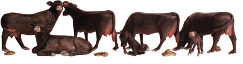 N Scenic Accents Black Angus Cows (5 & 2 Calves)