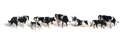 O Scenic Accents Holstein Cows (7)